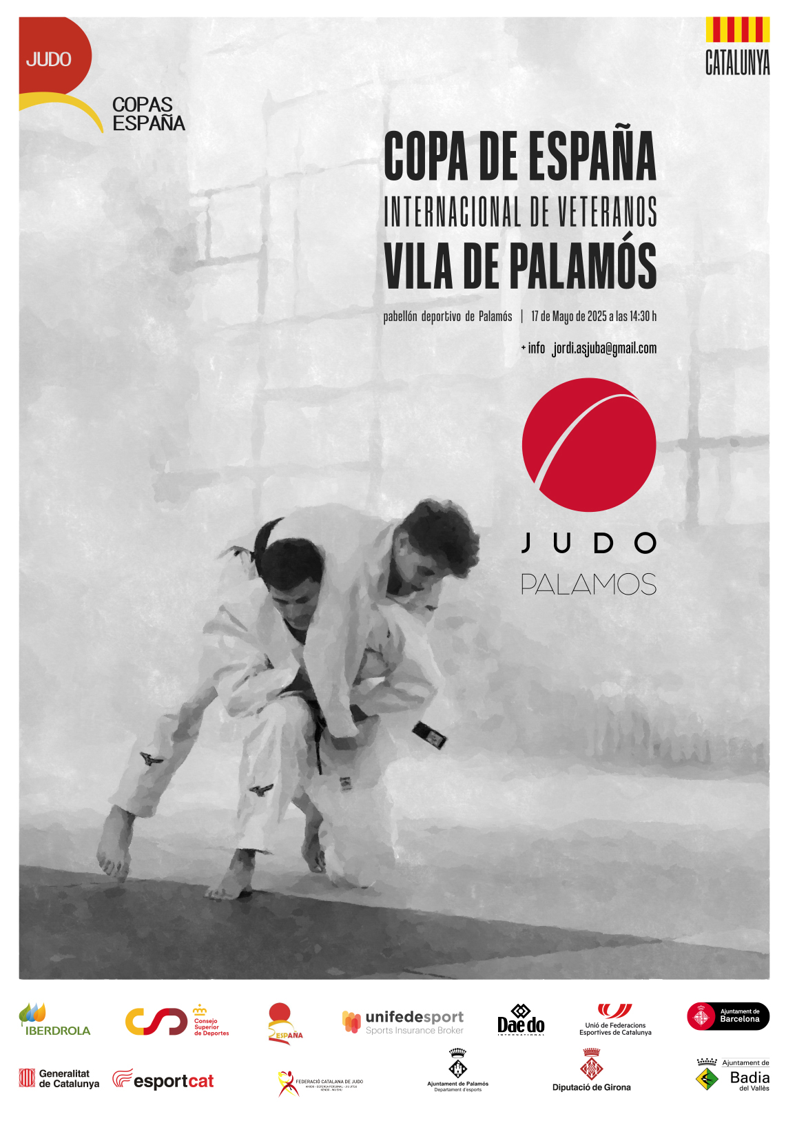 ORO PARA LLUIS EN LACOPA DE ESPA&Ntilde;A DE JUDO VETERANOS CATALU&Ntilde;A. 17-05-25. RESULTADOS.